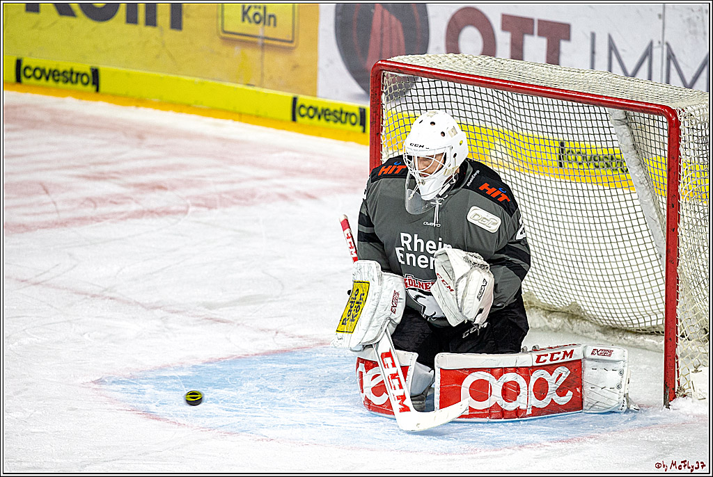 DEL; Koelner Haie - Fischtown Pinguins Bremerhaven, 06.01.2019